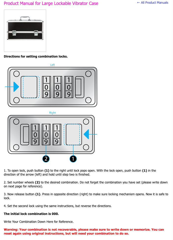 The Toy Chest - Lockable Vibrator Case