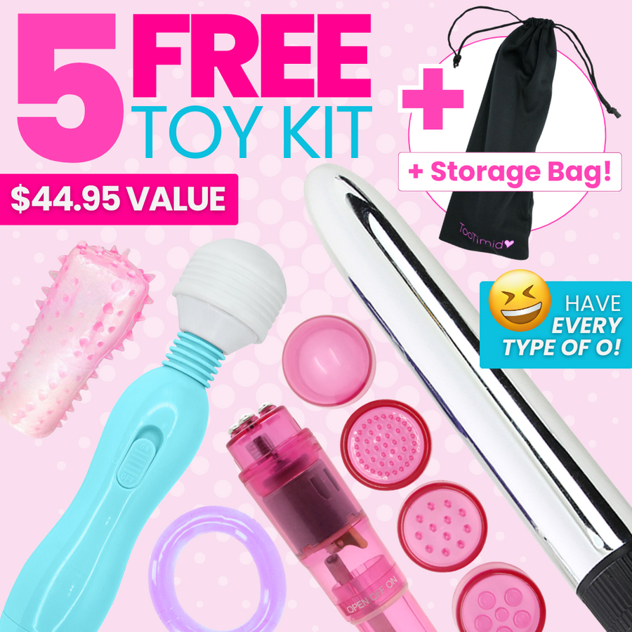 5 Toys for FREE + A Free hiding Storage bag! $44.95 value