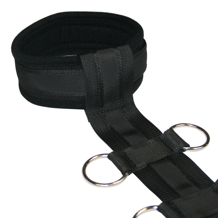 Collar and Body Wrist Restraint - Bondage